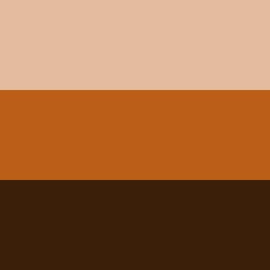 3 варианта коричневого цвета